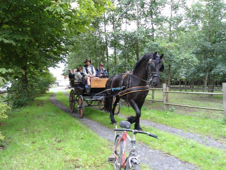 B&B Ter Castaigne Koekelare Bagian luar foto